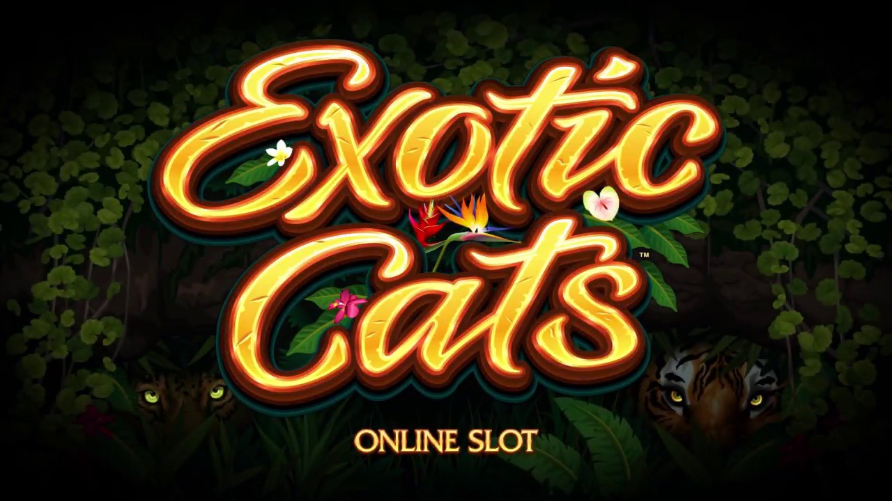Free slot exotic cats pictures